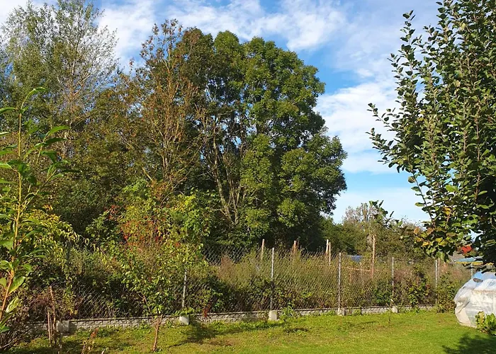 Дом отдыха Dom Caloroczny Nad Bugiem